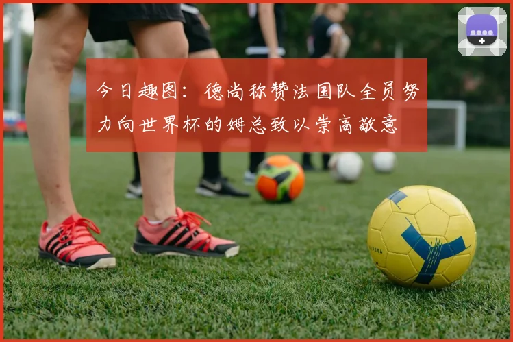 今日趣图：德尚称赞法国队全员努力向世界杯的姆总致以崇高敬意