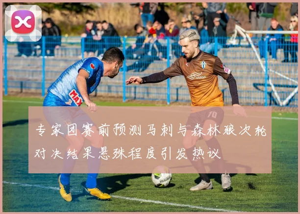专家团赛前预测马刺与森林狼次轮对决结果悬殊程度引发热议